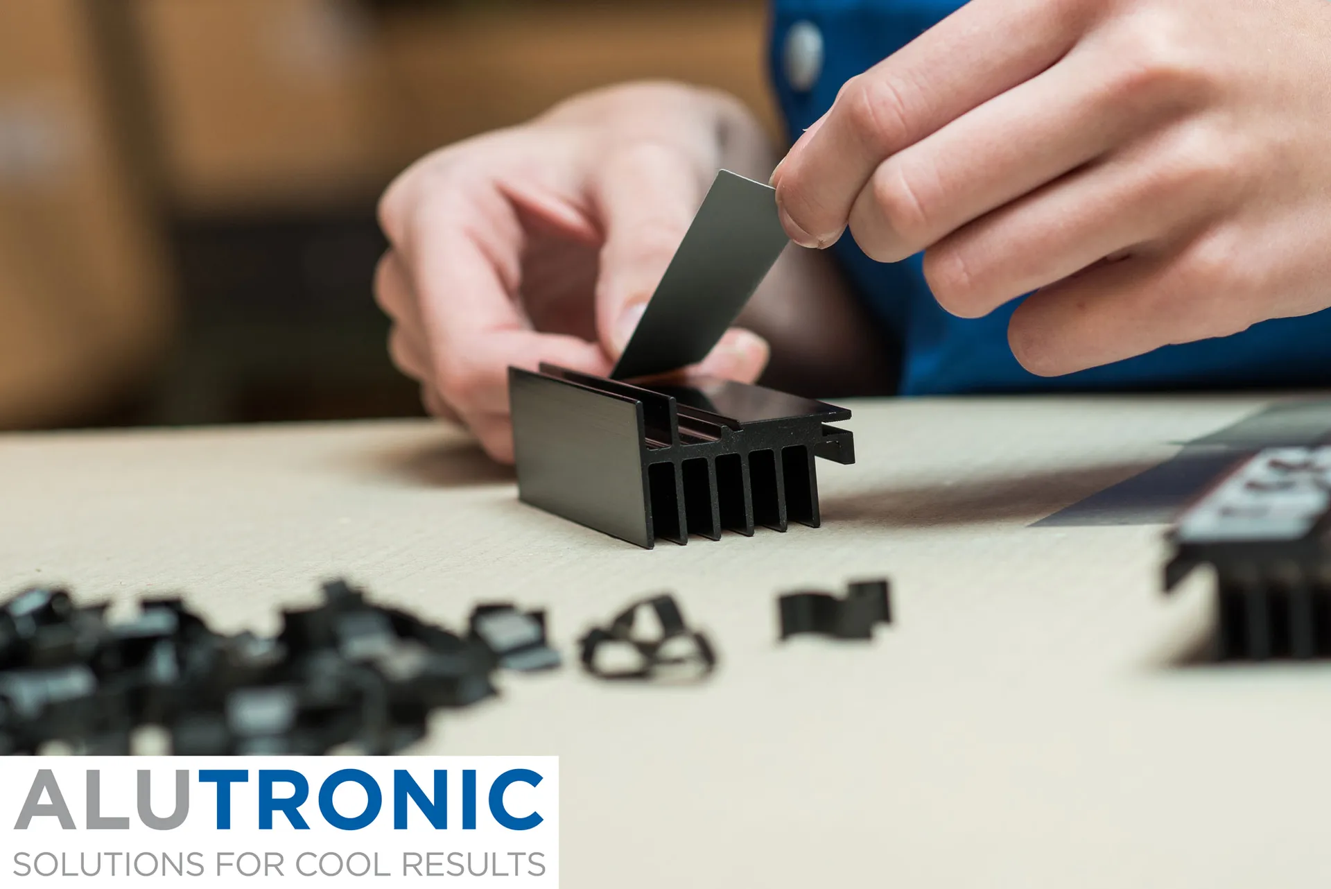 Alutronic_Vormontage