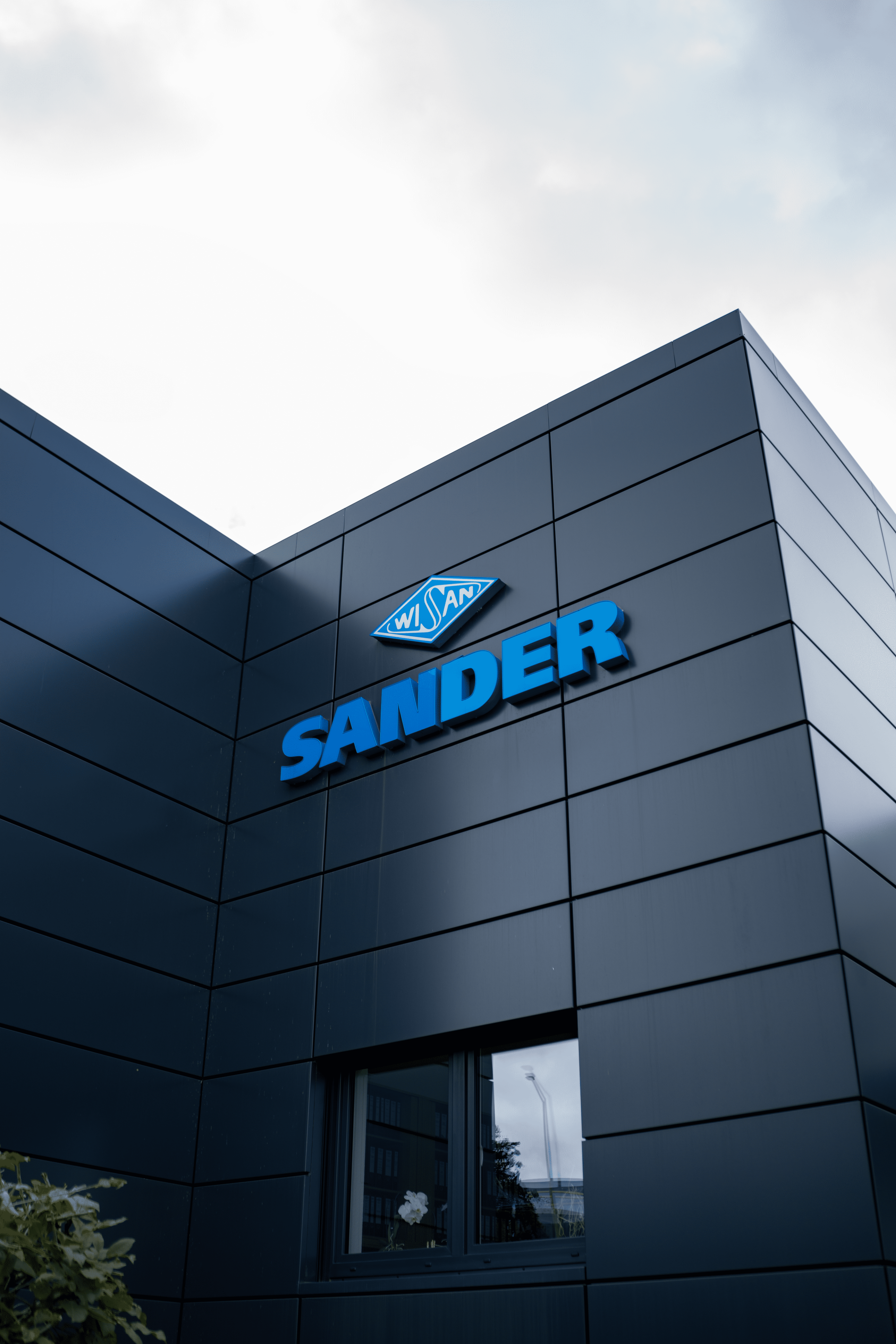 Sander