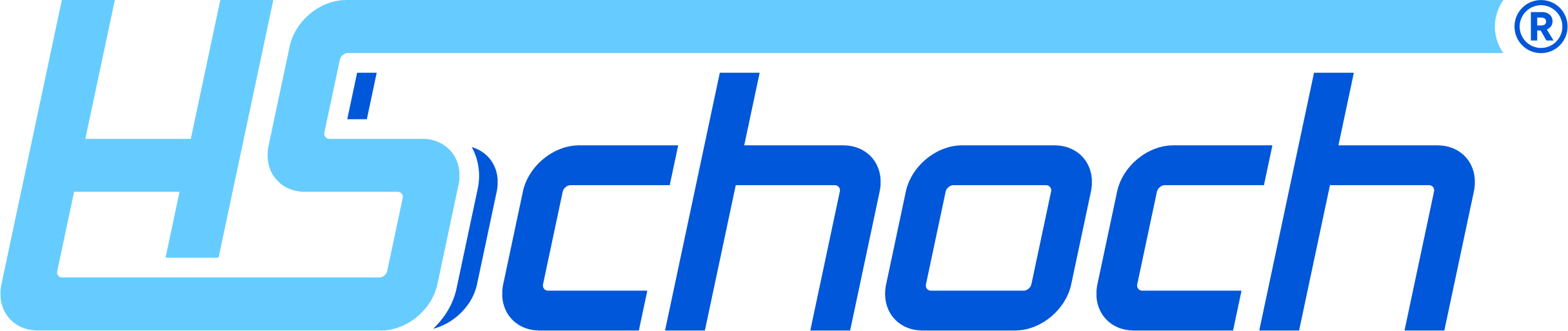 HS-Schoch GmbH Logo