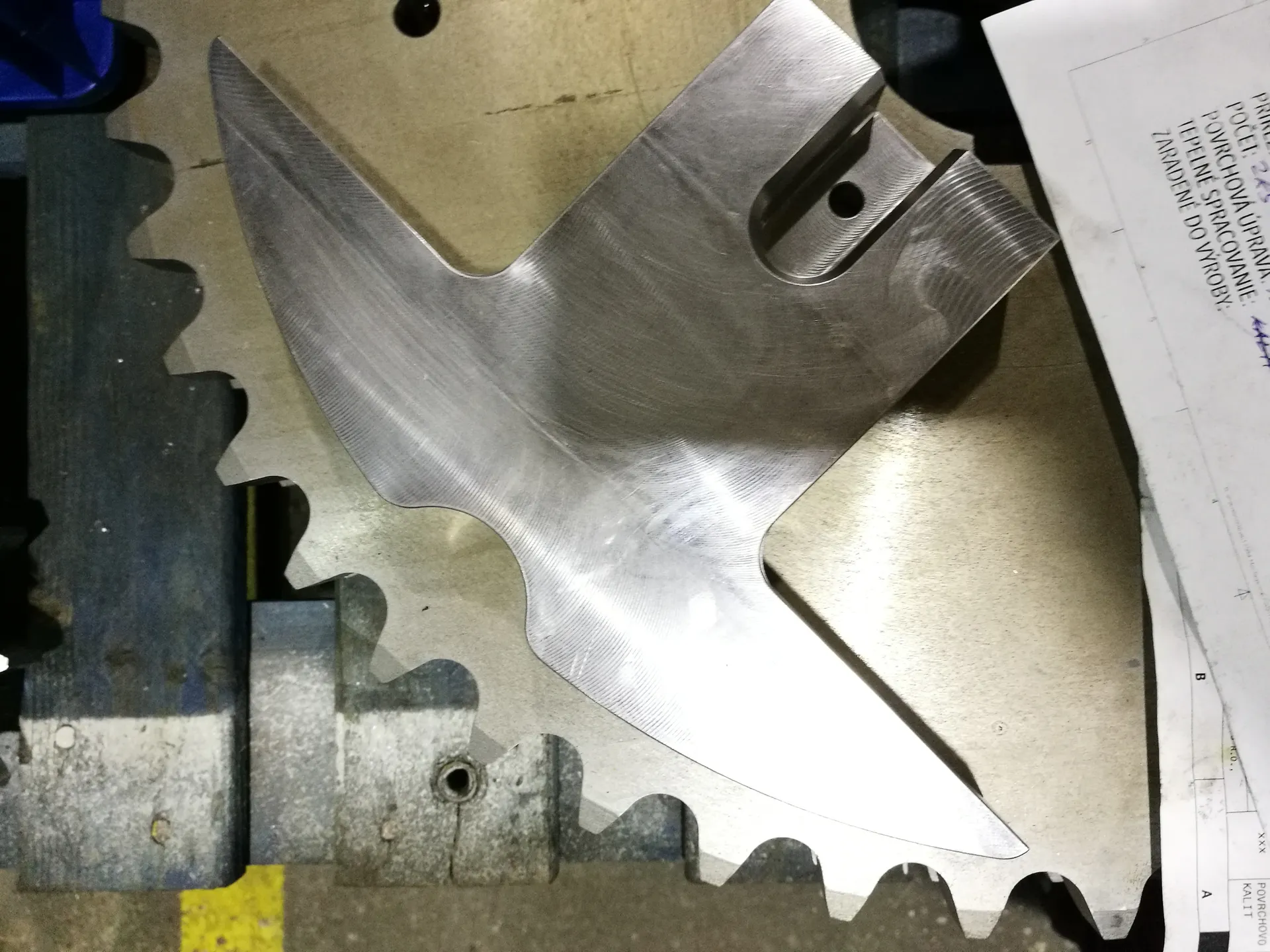 TOOTHED SEGMENT