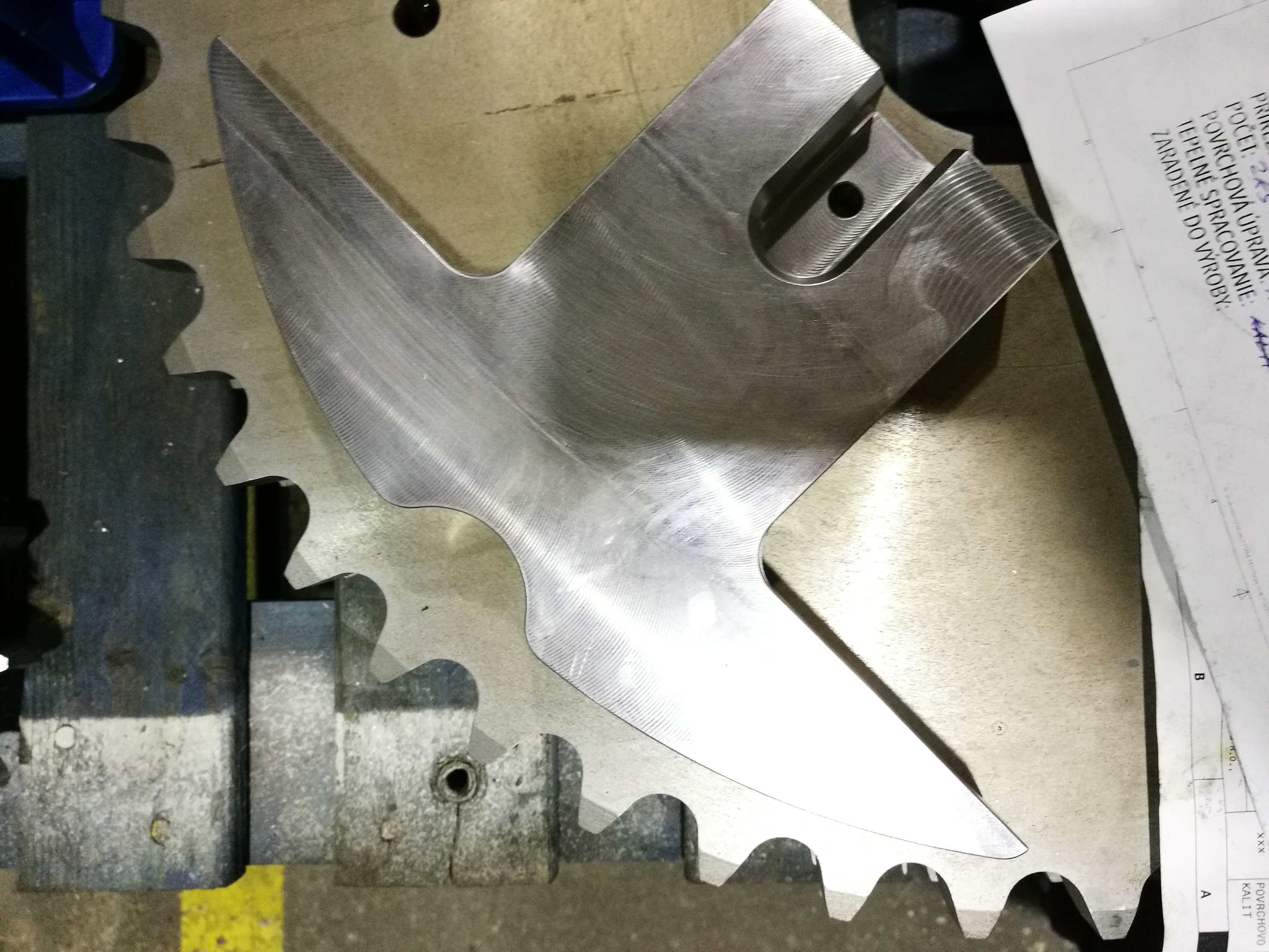 TOOTHED SEGMENT