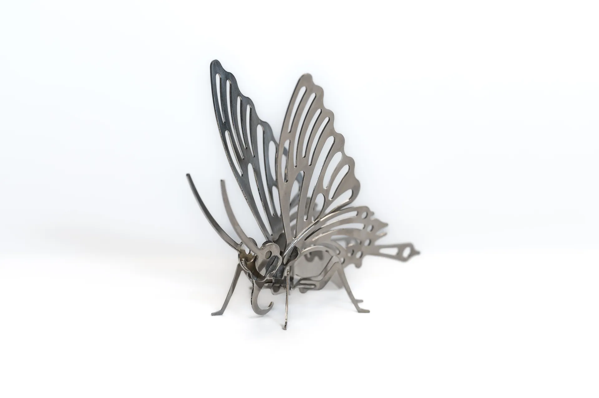 Schmetterling