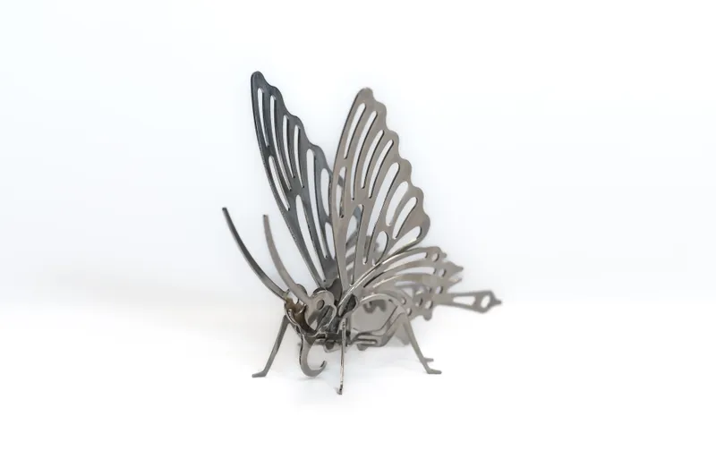 Schmetterling