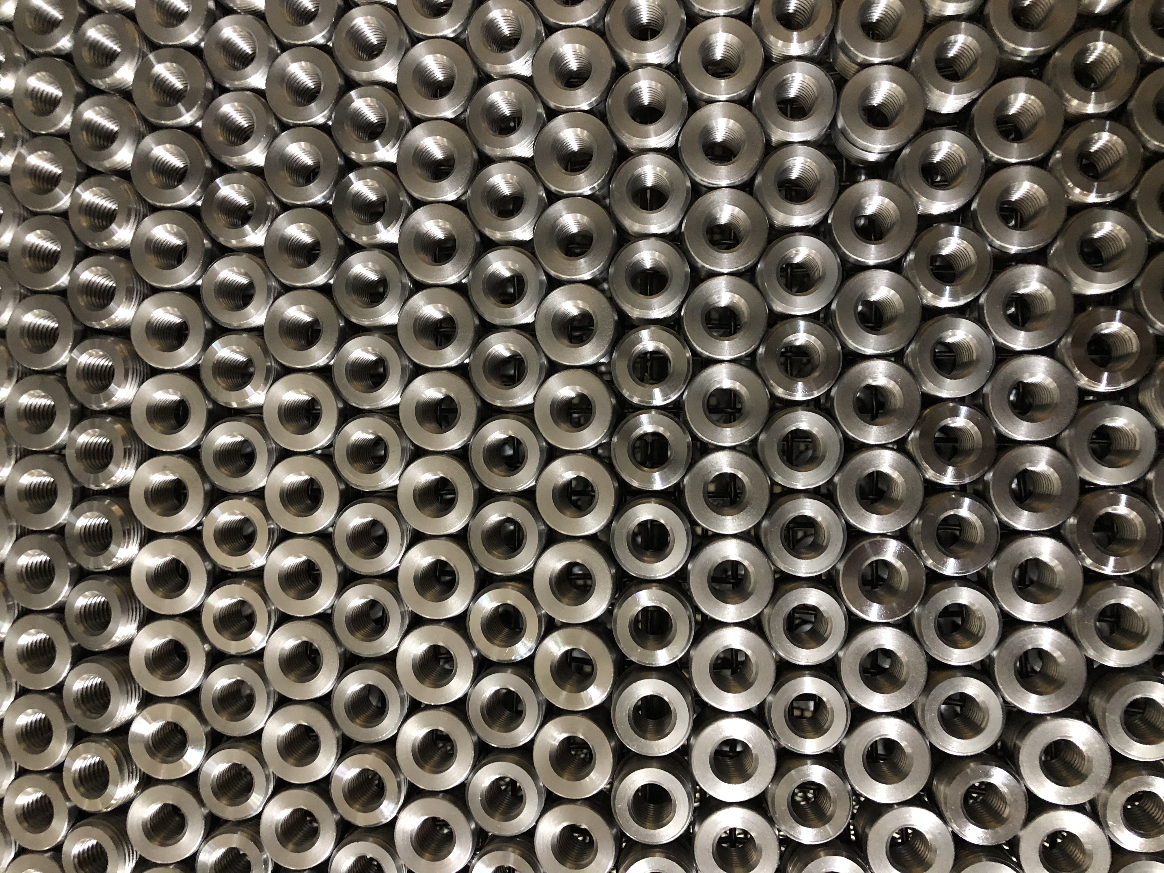 IMG_7561