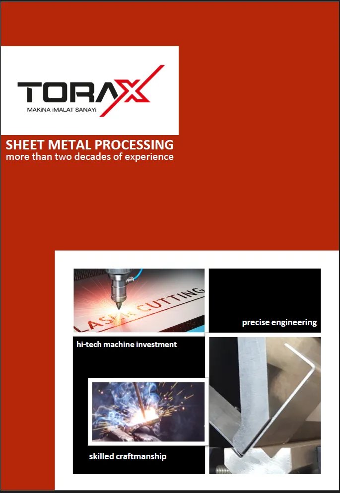 ToraxImage_1