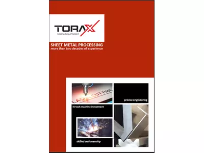 ToraxImage_1.png