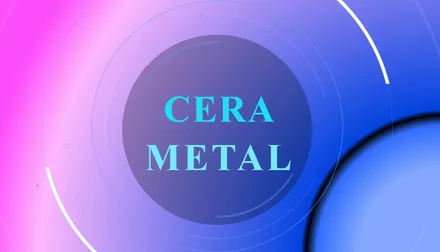 Logo von SC CERA METAL SRL