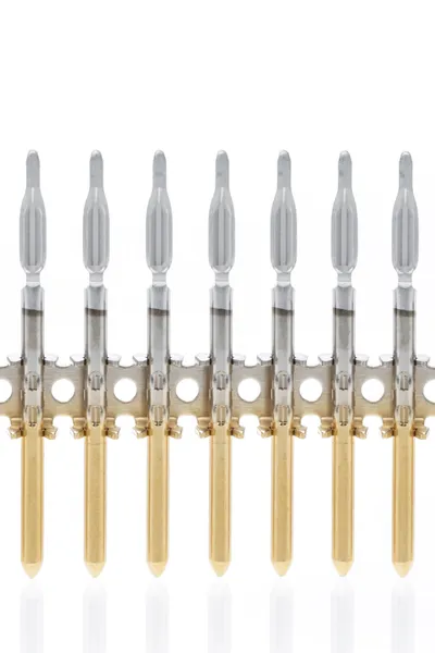 gegurteter Stift mit Einpresszone