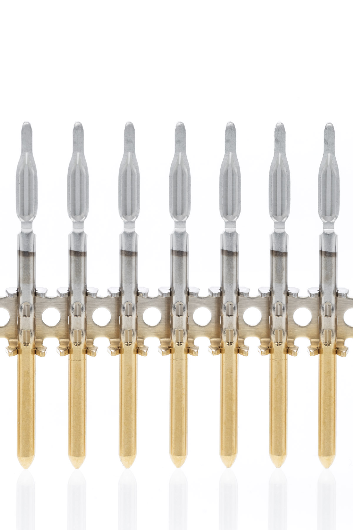 gegurteter Stift mit Einpresszone
