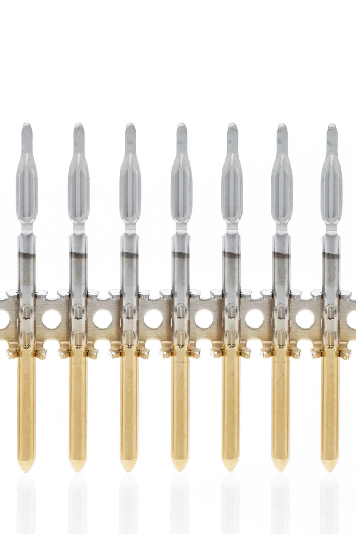 gegurteter Stift mit Einpresszone