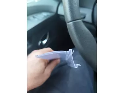 1000109672.jpg