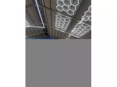 IMG_7001.jpeg