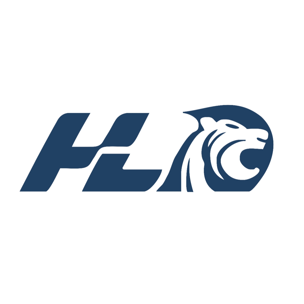 HLC Metal Technology Ltd. Logo