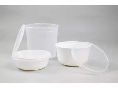 Containers with lids in various capacities and shapes