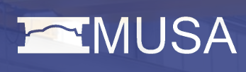 MUSA Pitesti '96, LCC Logo