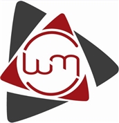 WMSolution GmbH Logo