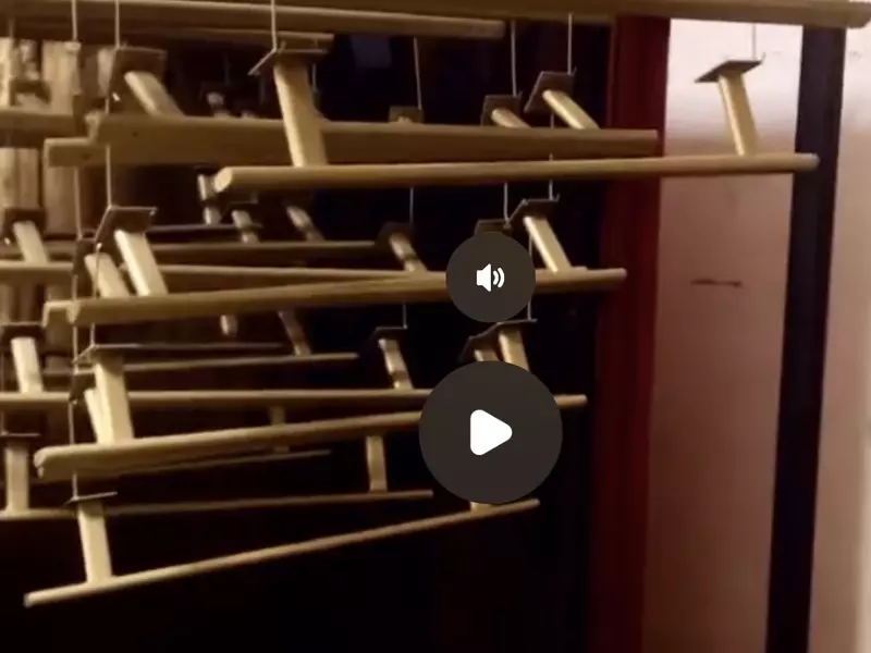 IMG_8915.webp