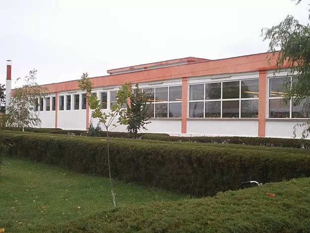 image2.webp