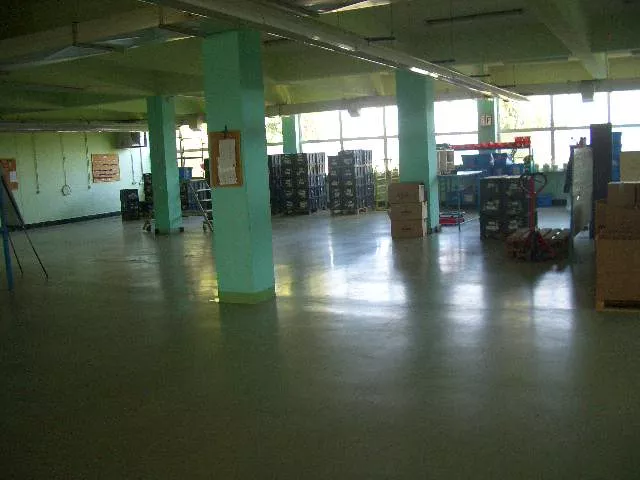 image9.webp