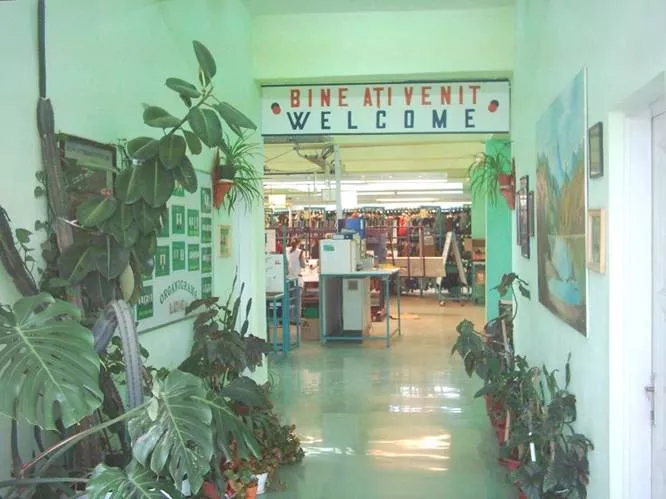 image5.webp