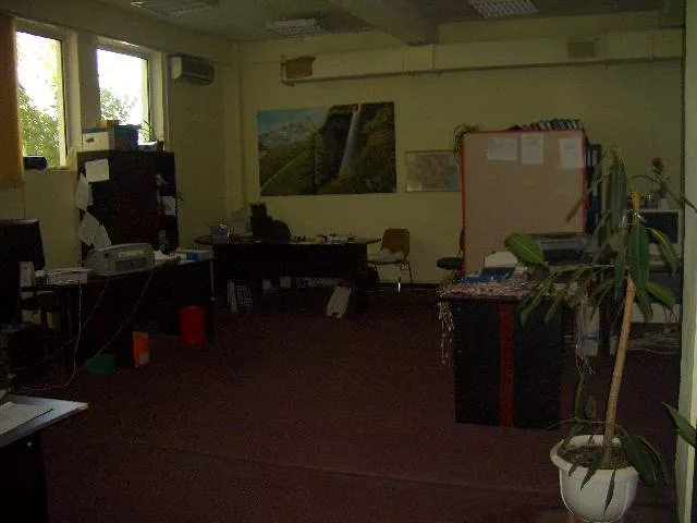 image7.webp