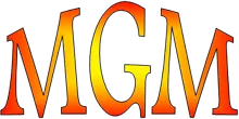 MGM srl Logo