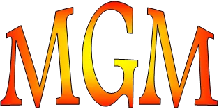 Logo von MGM srl