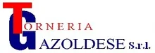 Torneria Gazoldese S.r.l. Logo