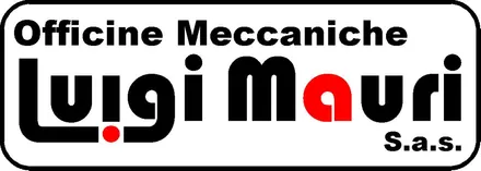 Logo di LUIGI MAURI S.R.L.