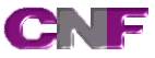 CNF Feintechnik GmbH Logo