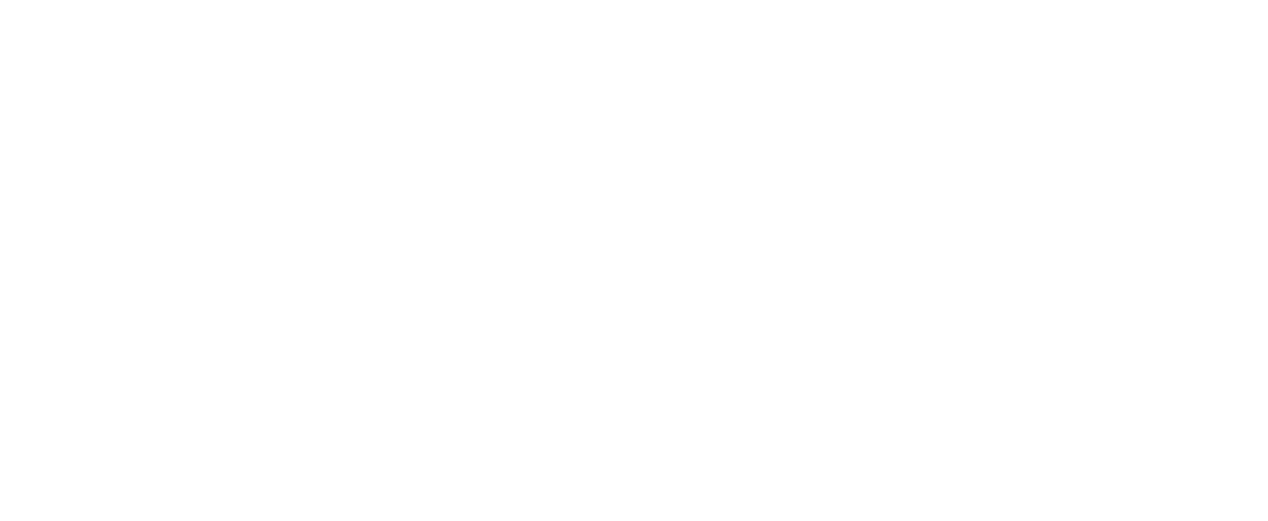 faperin sl
