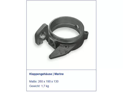 Klappengehäuse