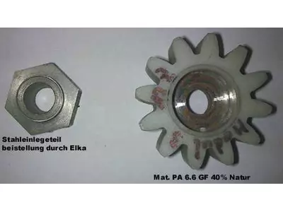 Ritzel mit Einlegeteil