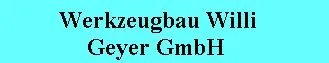 Logo di Werkzeugbau Willi Geyer GmbH