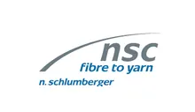 N. Schlumberger Logo