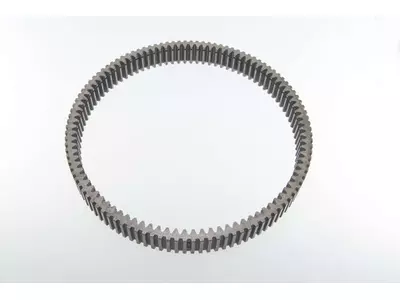 Hohlrad mit Innen- und Außenverzahnung