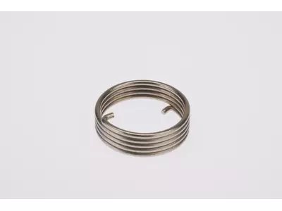 Schenkelfeder für Bremselement