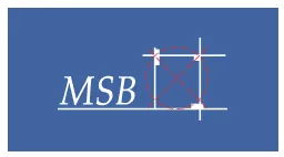 Logo di MSB Maschinen-, Stahl- und Behälterbau