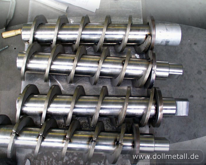 Schnecken