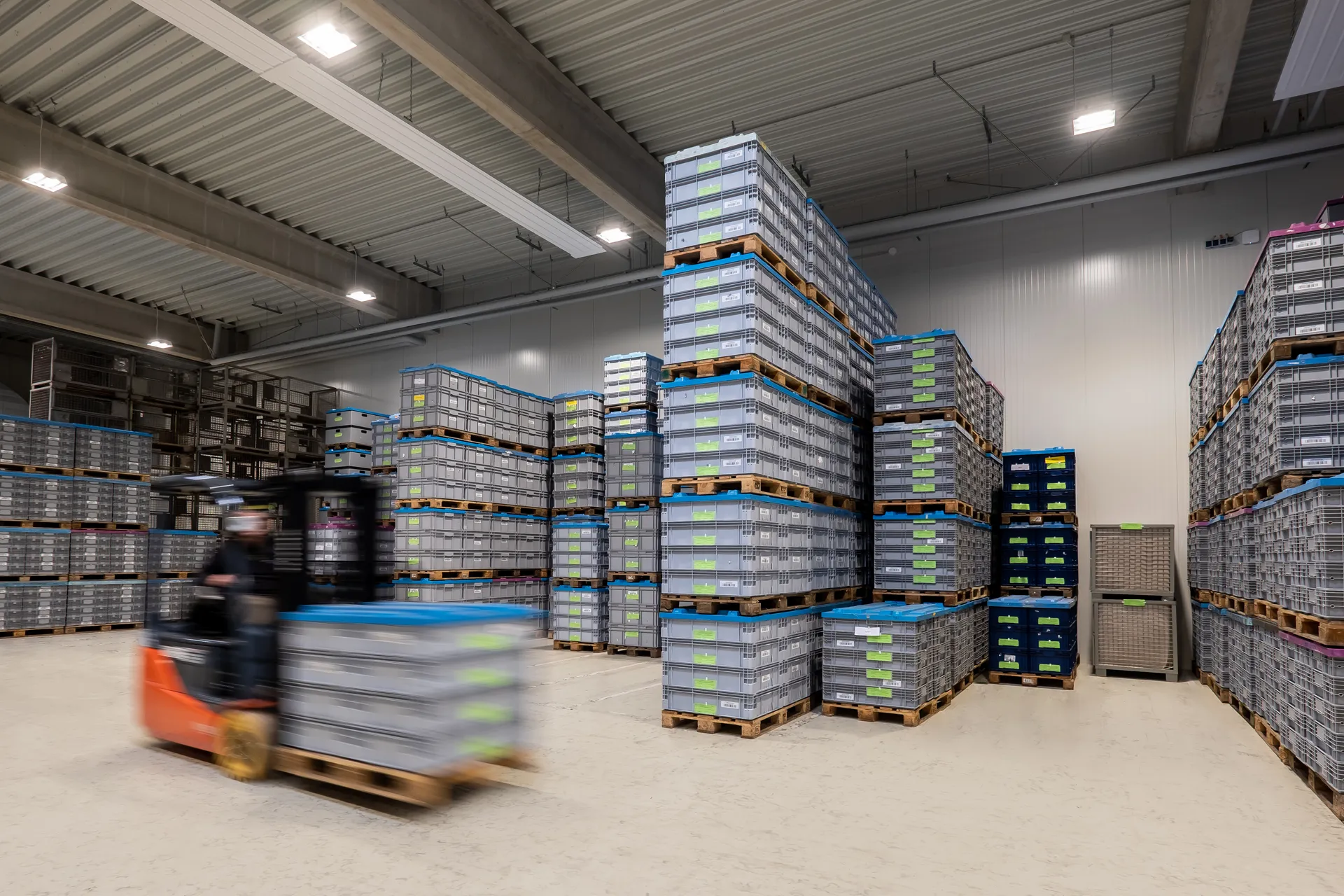 Logistik