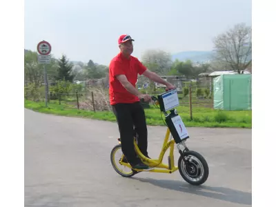 Stepelec der Elektrostepper