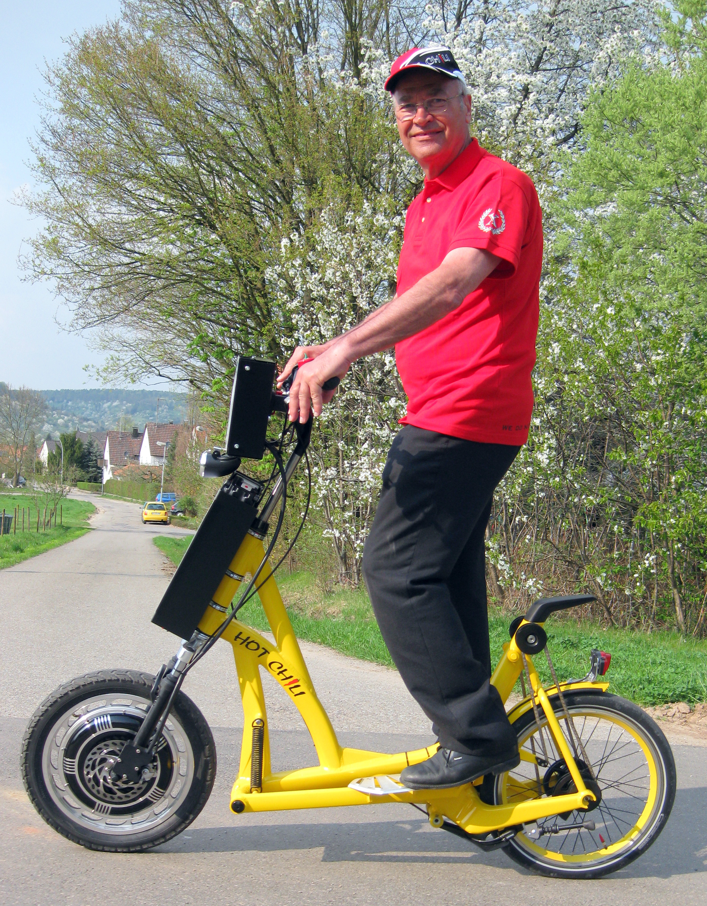 Stepelec Elektrostepper