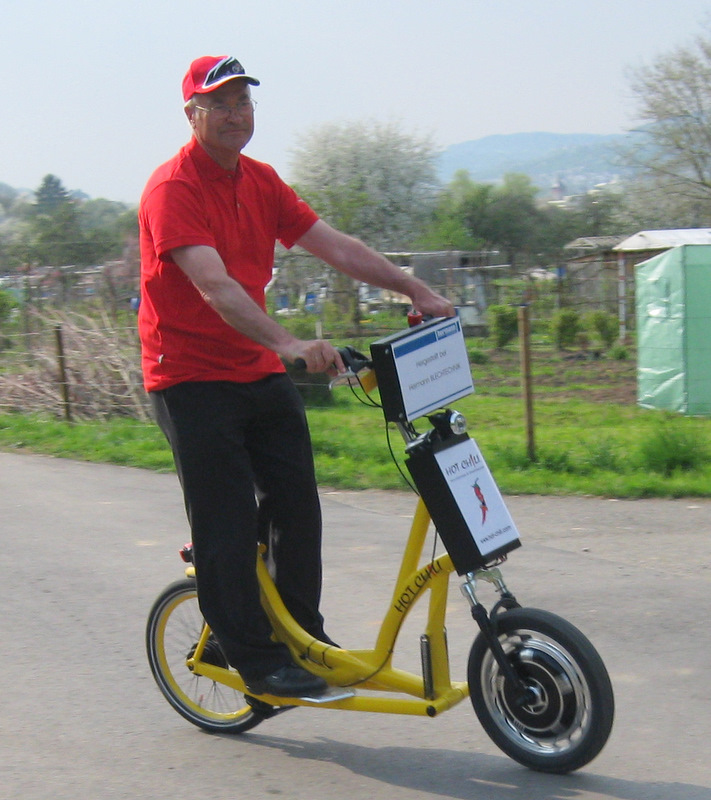 Stepelec der Elektrostepper