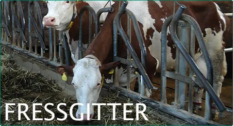 Fressgitter