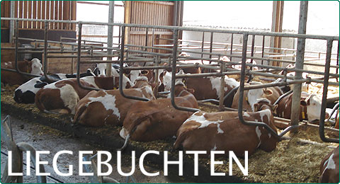 Liegebuchten