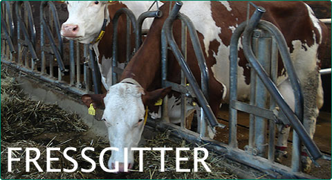 Fressgitter