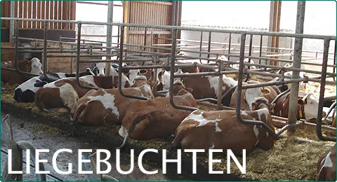 Liegebuchten