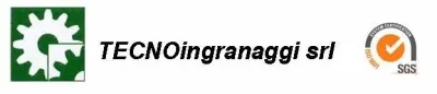 Logo di Tecnoingranaggi S.r.l.<br>Gearing production - Brescia