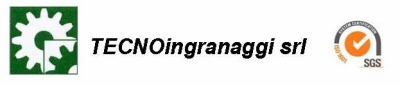 Tecnoingranaggi S.r.l.<br>Gearing production  -  Brescia Logo