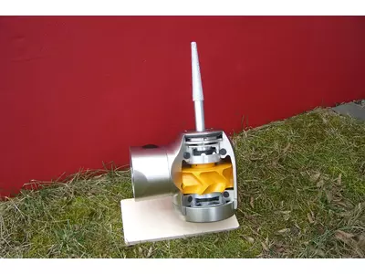 Anschauungsmodell Zahnmedizin